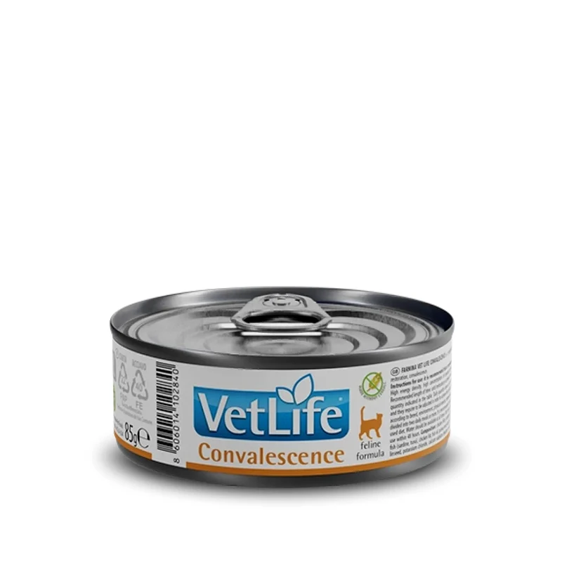VetLife Convalescence Kedi Konserve Yaş Mama 85 gr
