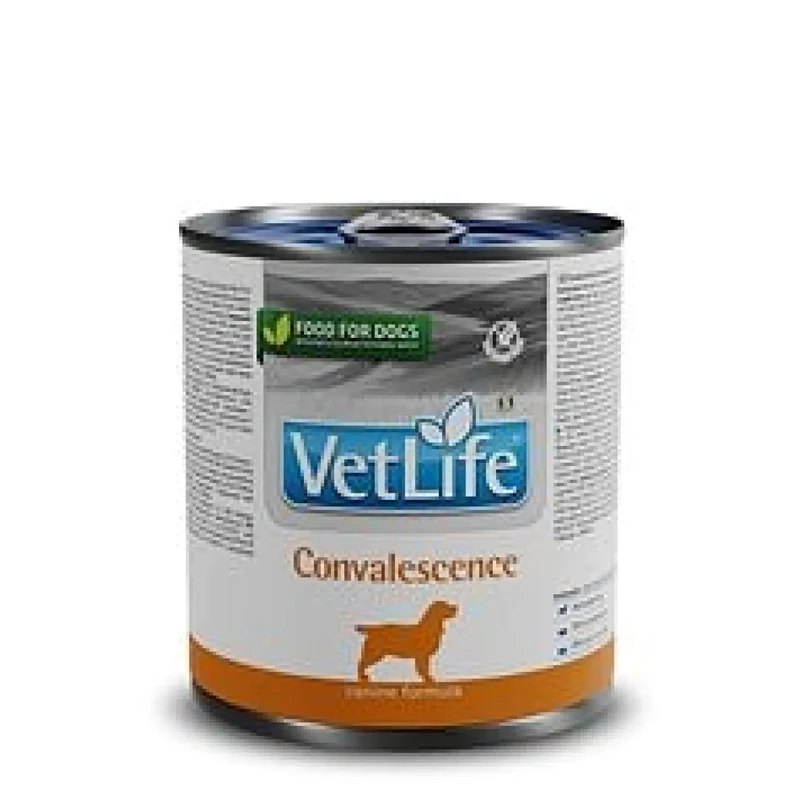 Vetlife Convalescence Köpek 300 gr Konserve Mama